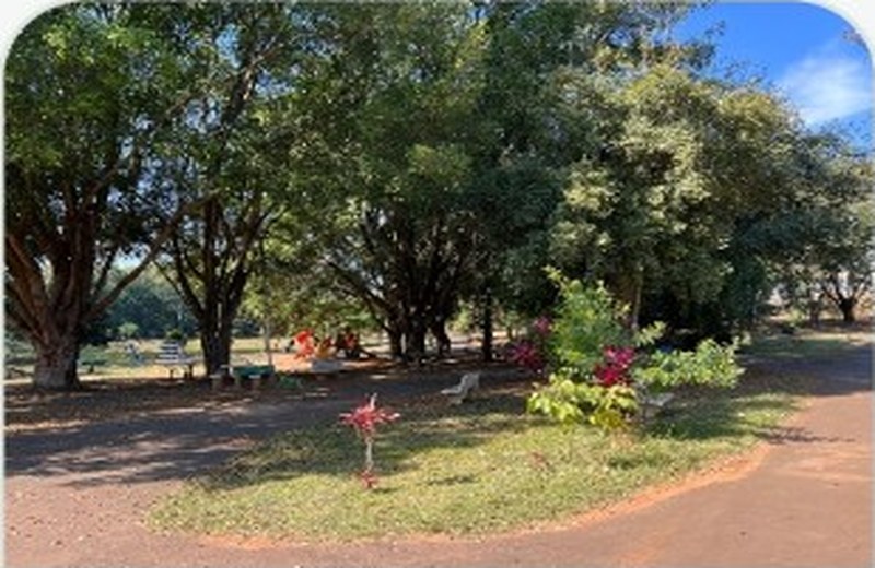 Bosque do Jardim Dall’Orto